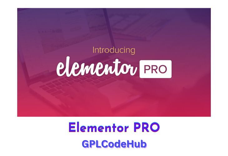 Elementor Pro