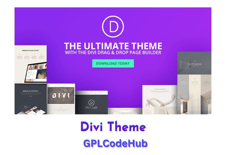 Divi Theme